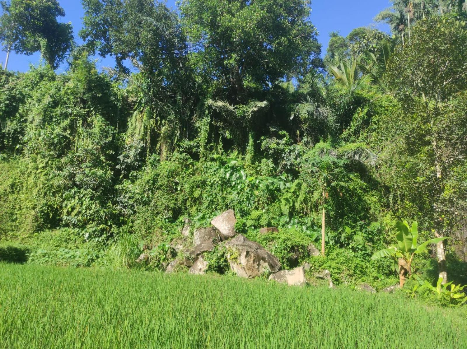 Nan Bungalows Tetebatu Ngoại thất bức ảnh