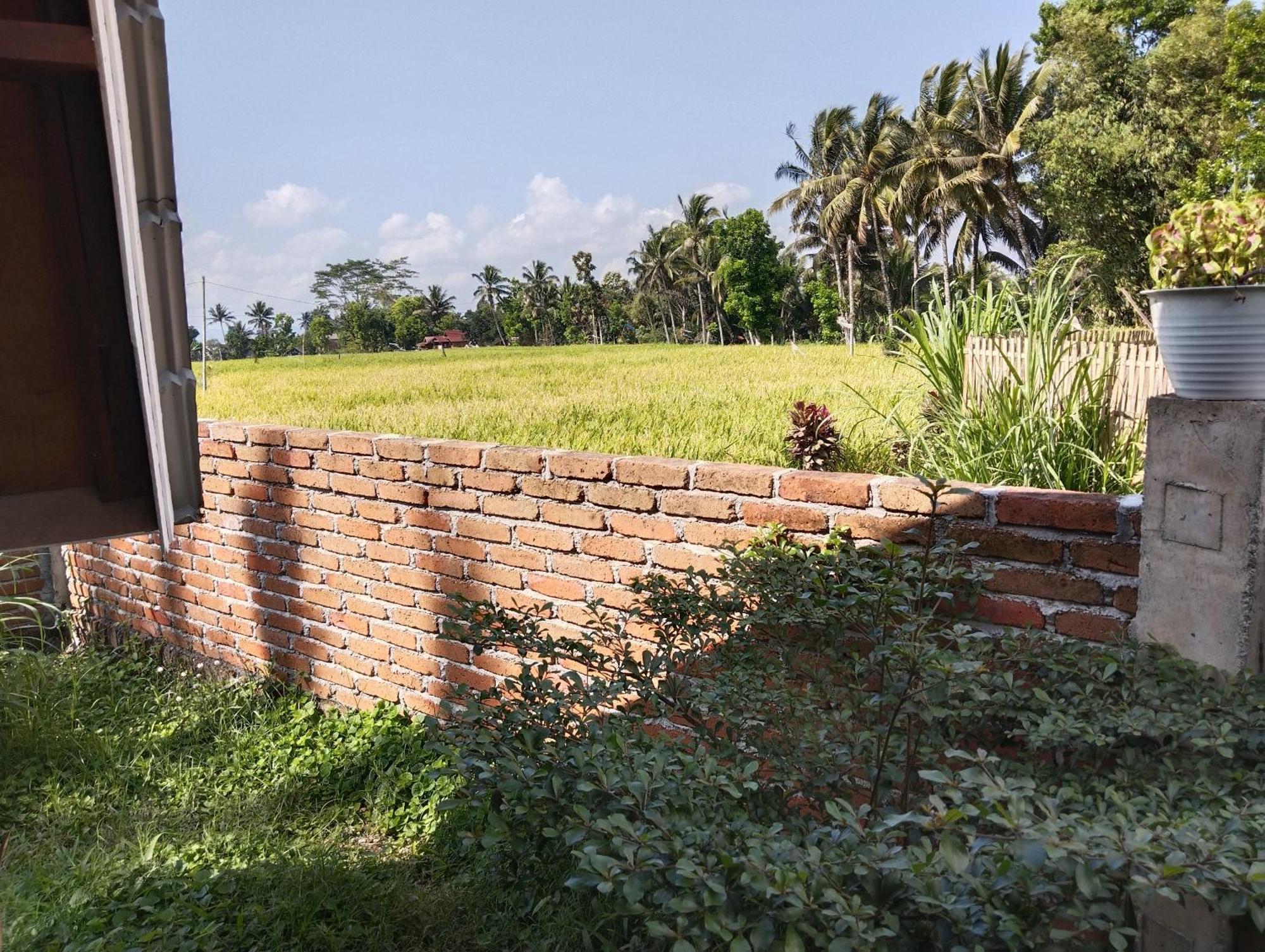 Nan Bungalows Tetebatu Ngoại thất bức ảnh