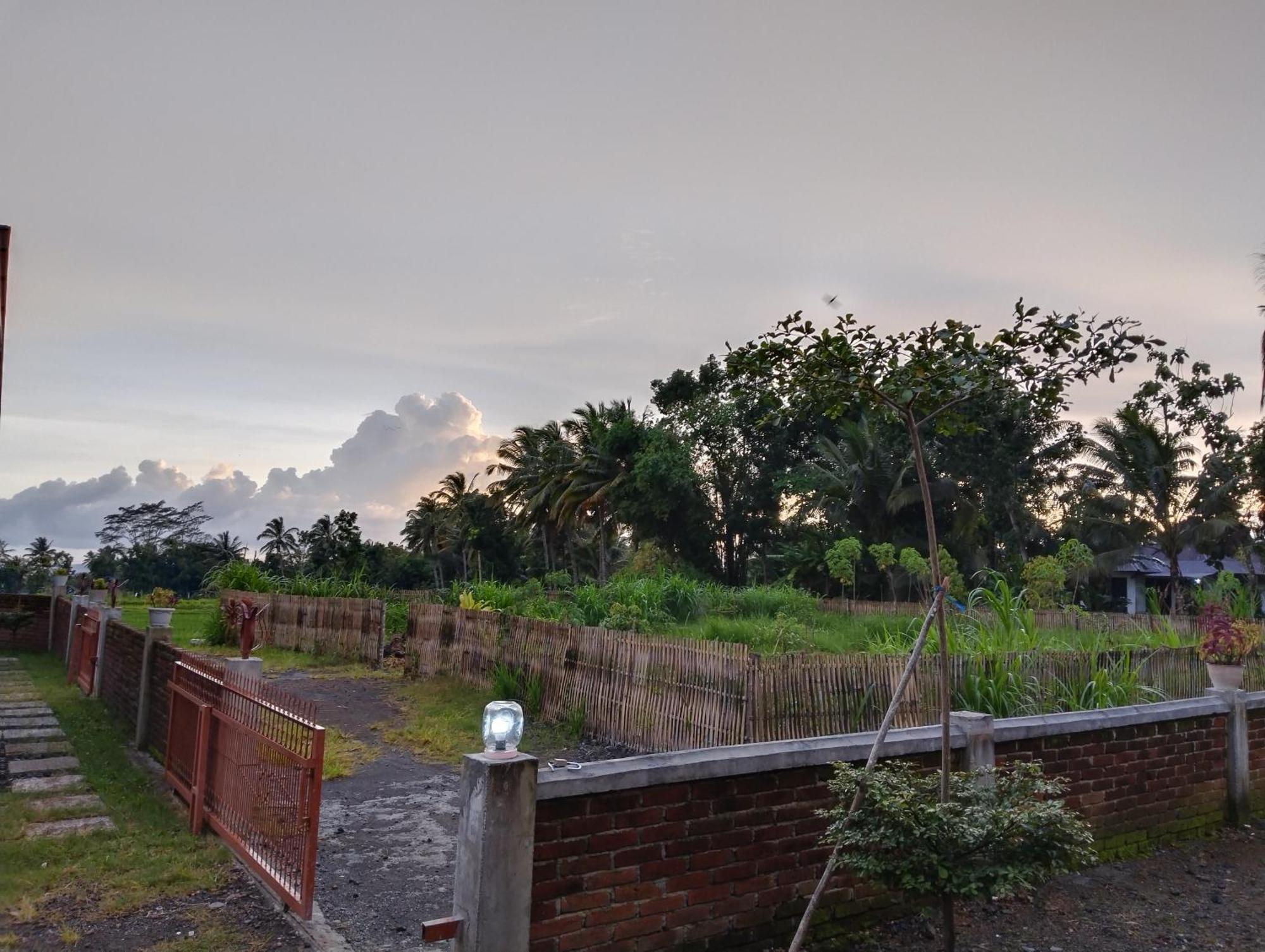 Nan Bungalows Tetebatu Ngoại thất bức ảnh